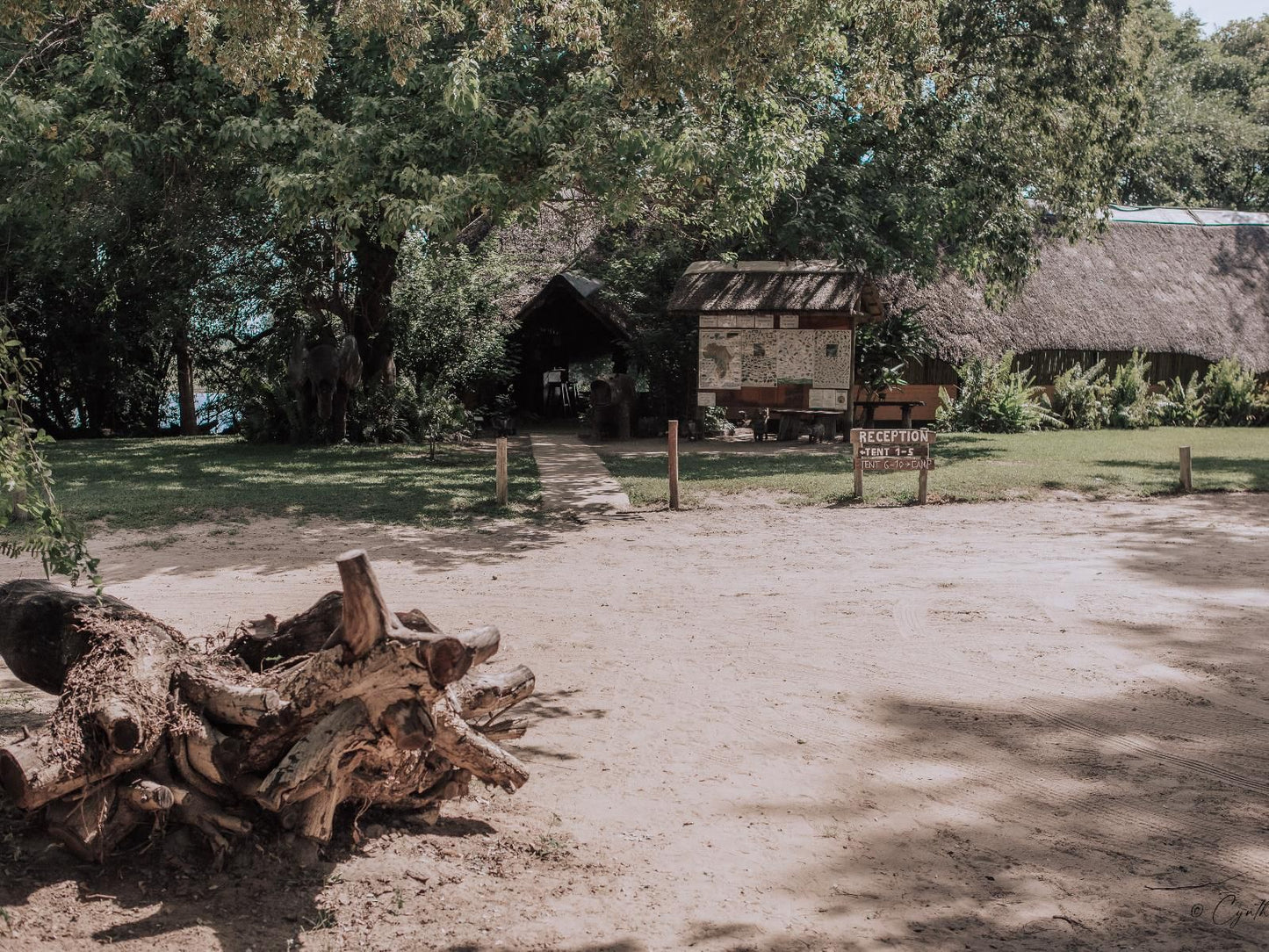 Ndhovu Safari Lodge, Unsaturated