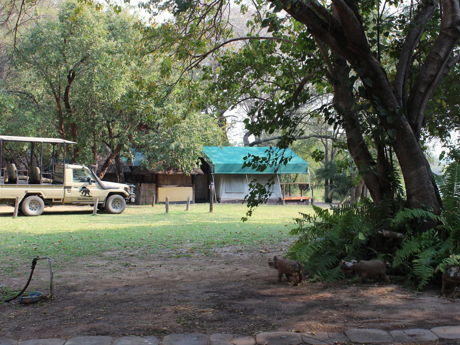 Ndhovu Safari Lodge, Palm Tree, Plant, Nature, Wood