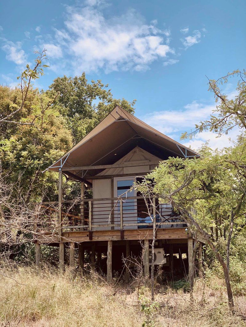 Ndhula Luxury Tented Lodge White River Mpumalanga South Africa Complementary Colors, Building, Architecture, Cabin