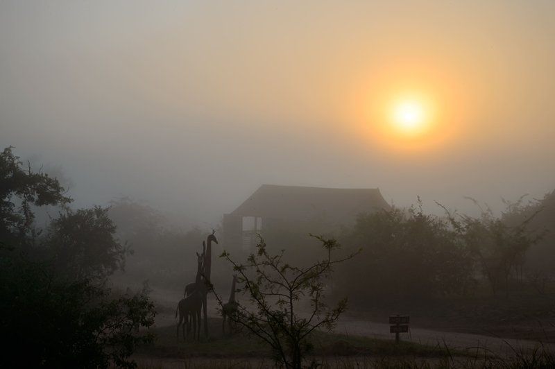 Ndhula Luxury Tented Lodge White River Mpumalanga South Africa Sepia Tones, Fog, Nature, Tree, Plant, Wood, Sunset, Sky