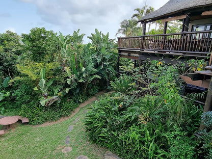 Ndiza Lodge And Cabanas St Lucia Kwazulu Natal South Africa Palm Tree, Plant, Nature, Wood, Garden