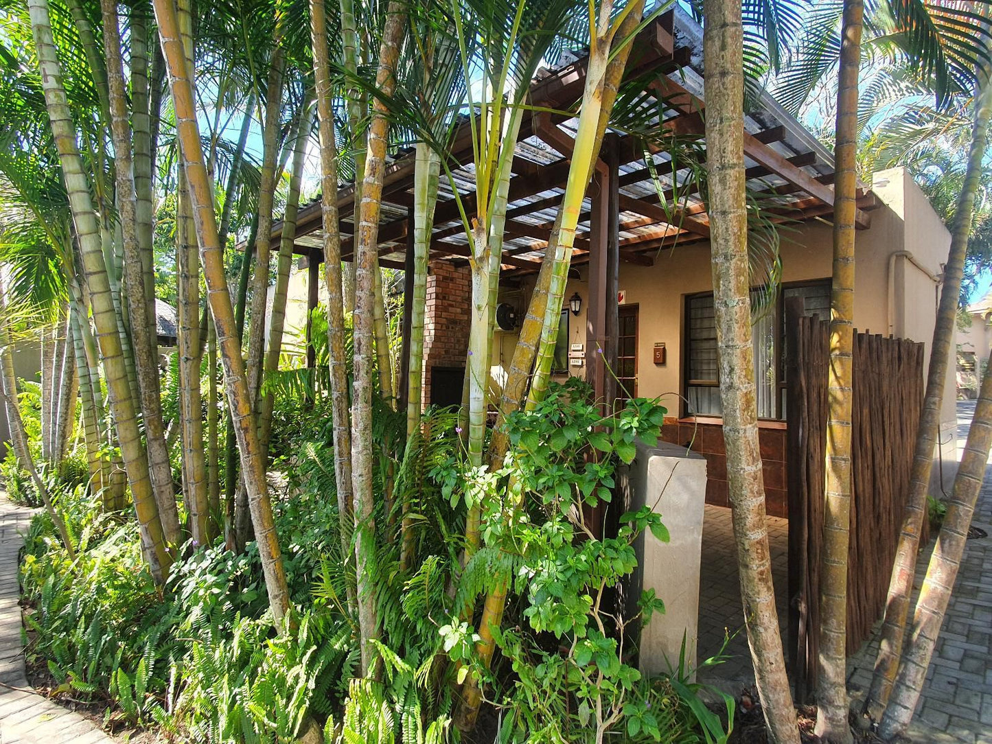 Ndiza Lodge And Cabanas St Lucia Kwazulu Natal South Africa Palm Tree, Plant, Nature, Wood