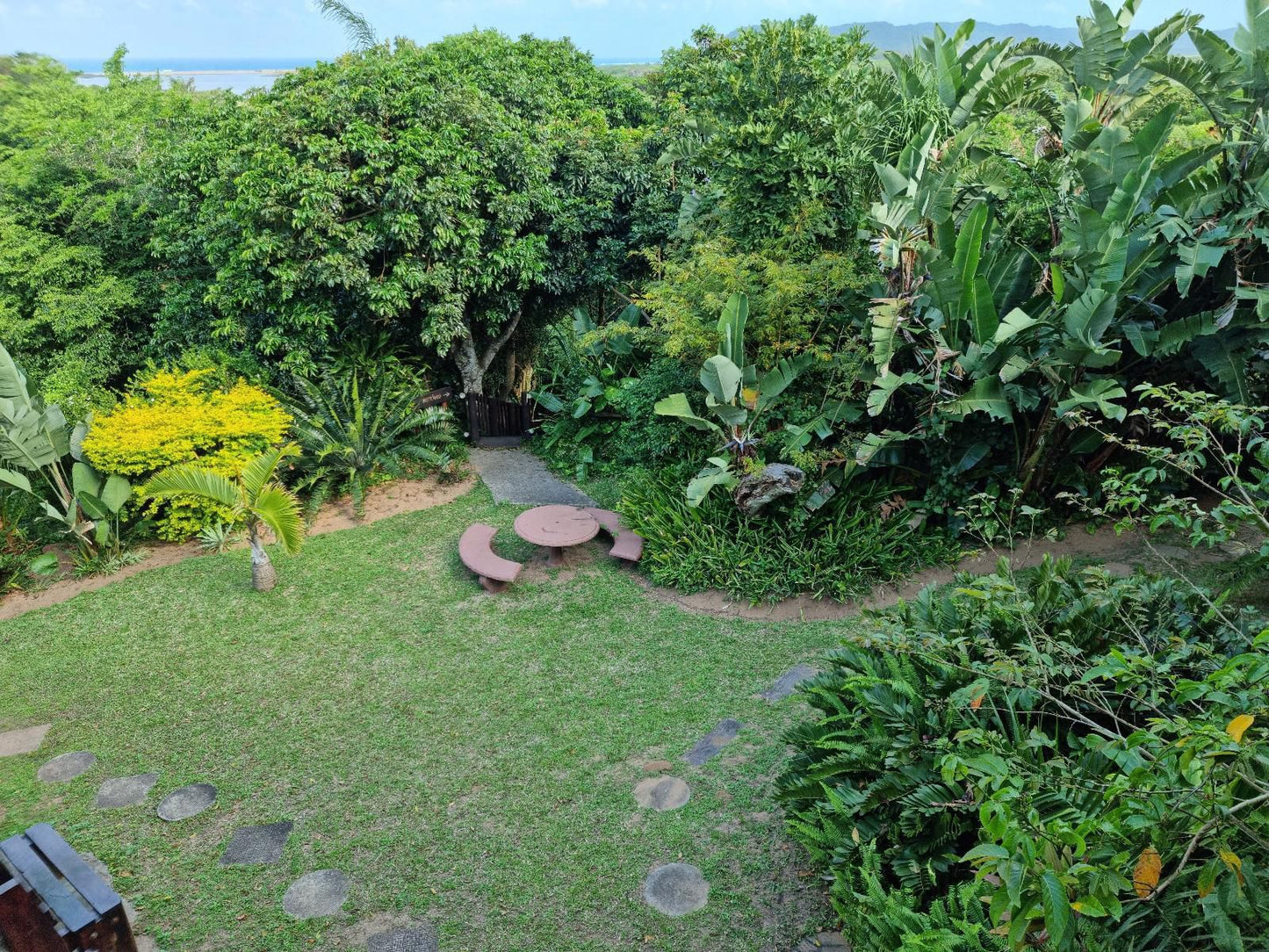 Ndiza Lodge And Cabanas St Lucia Kwazulu Natal South Africa Palm Tree, Plant, Nature, Wood, Garden