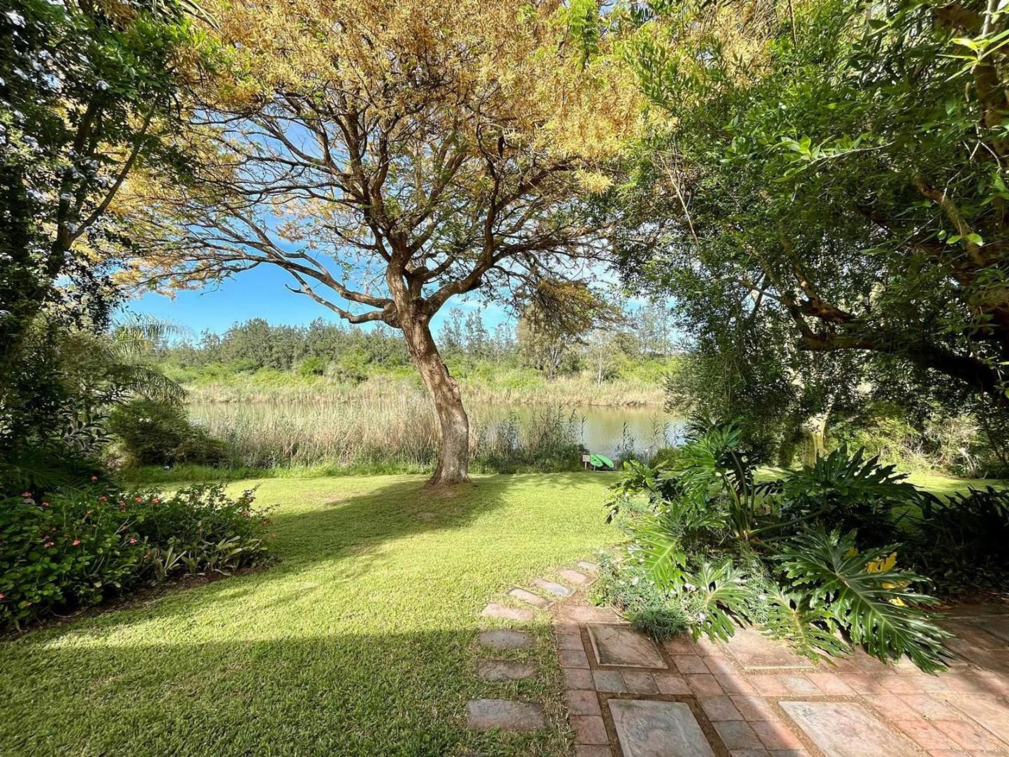 Ndlovu Addo River Lodge, Plant, Nature, Tree, Wood, Garden