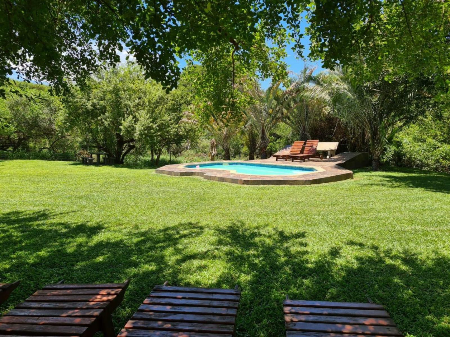 Ndlovukazi River Chalets Pongola Kwazulu Natal South Africa Plant, Nature, Garden, Swimming Pool