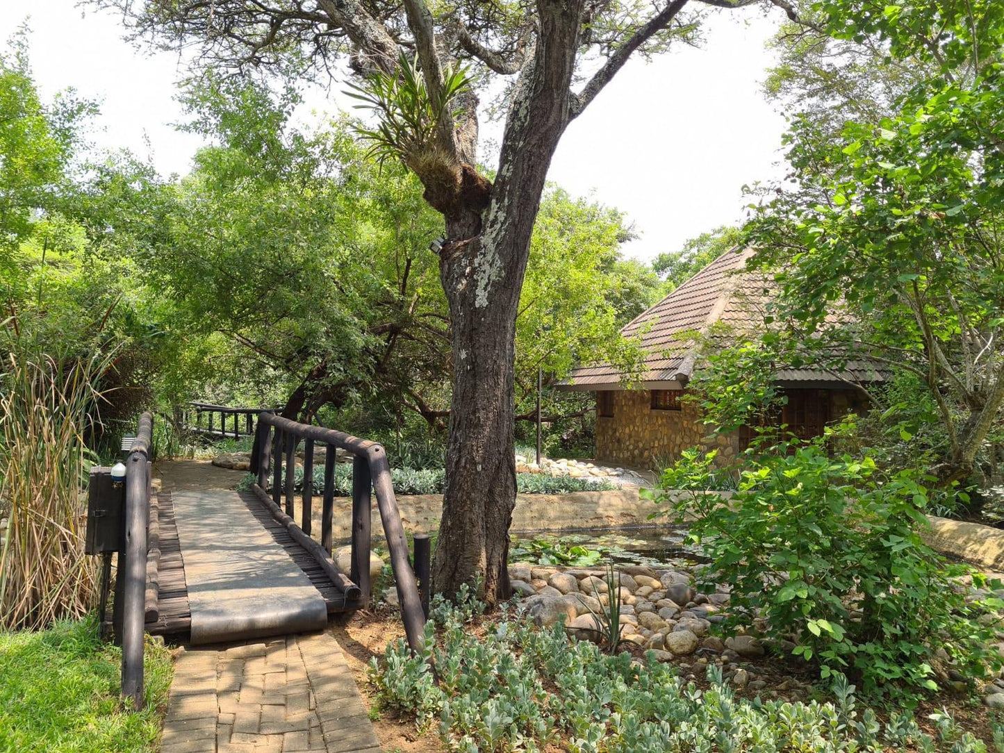 Ndlovukazi River Chalets Pongola Kwazulu Natal South Africa Cabin, Building, Architecture, Tree, Plant, Nature, Wood, Garden