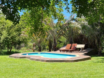 Ndlovukazi River Chalets Pongola Kwazulu Natal South Africa Palm Tree, Plant, Nature, Wood, Garden, Swimming Pool