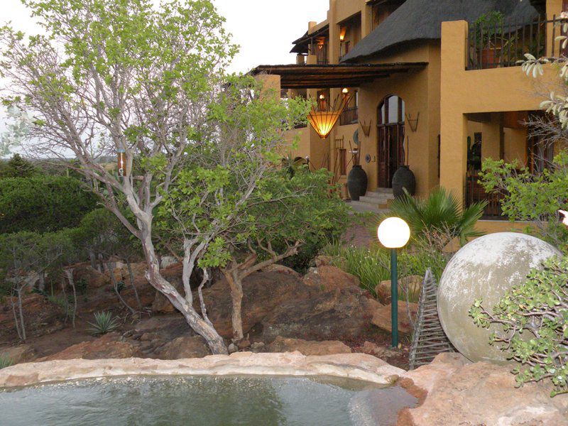 Ndlovu Lodge Pretoria Tshwane And Surrounds Gauteng South Africa Palm Tree, Plant, Nature, Wood, Garden, Swimming Pool