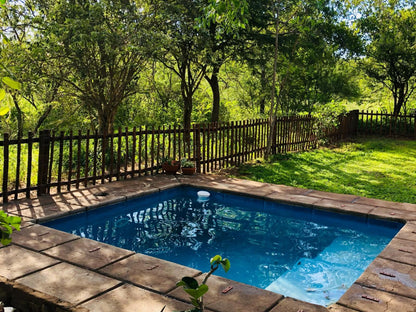 Ndoto Cottage Hoedspruit Limpopo Province South Africa Garden, Nature, Plant, Swimming Pool