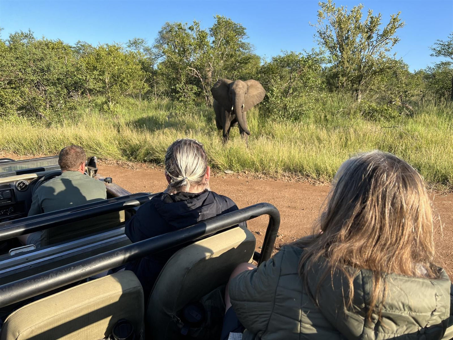 Ndzuti Bush Camp, Elephant, Mammal, Animal, Herbivore, Person