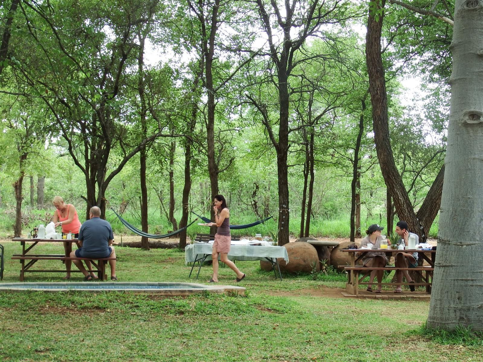 Ndzuti Bush Camp, Forest, Nature, Plant, Tree, Wood, Person