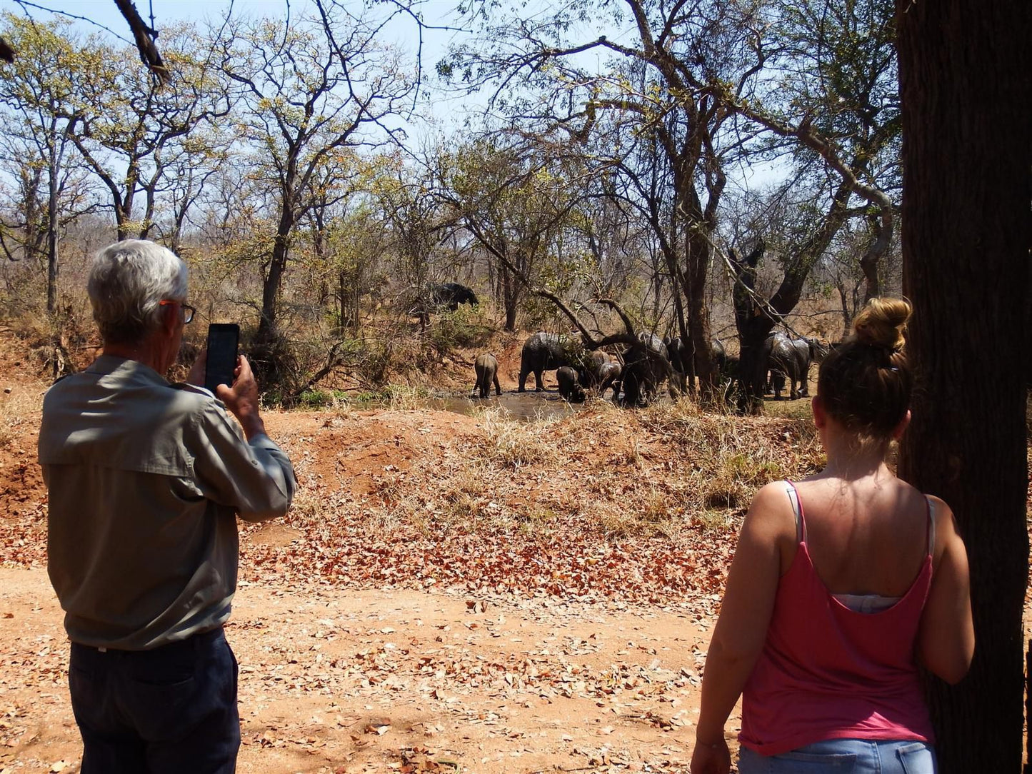 Ndzuti Bush Camp, Elephant, Mammal, Animal, Herbivore, Person