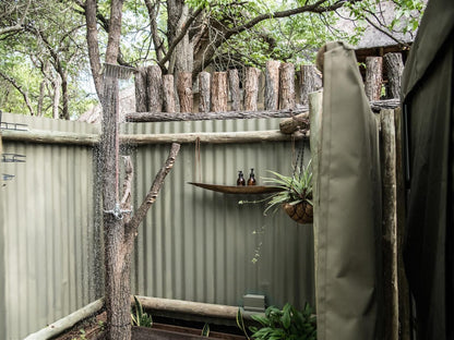 Ndzuti Bush Camp, Bushcamp tent, Plant, Nature, Garden