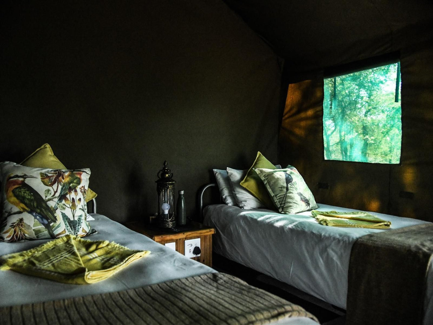 Ndzuti Bush Camp, Bushcamp tent, Bedroom