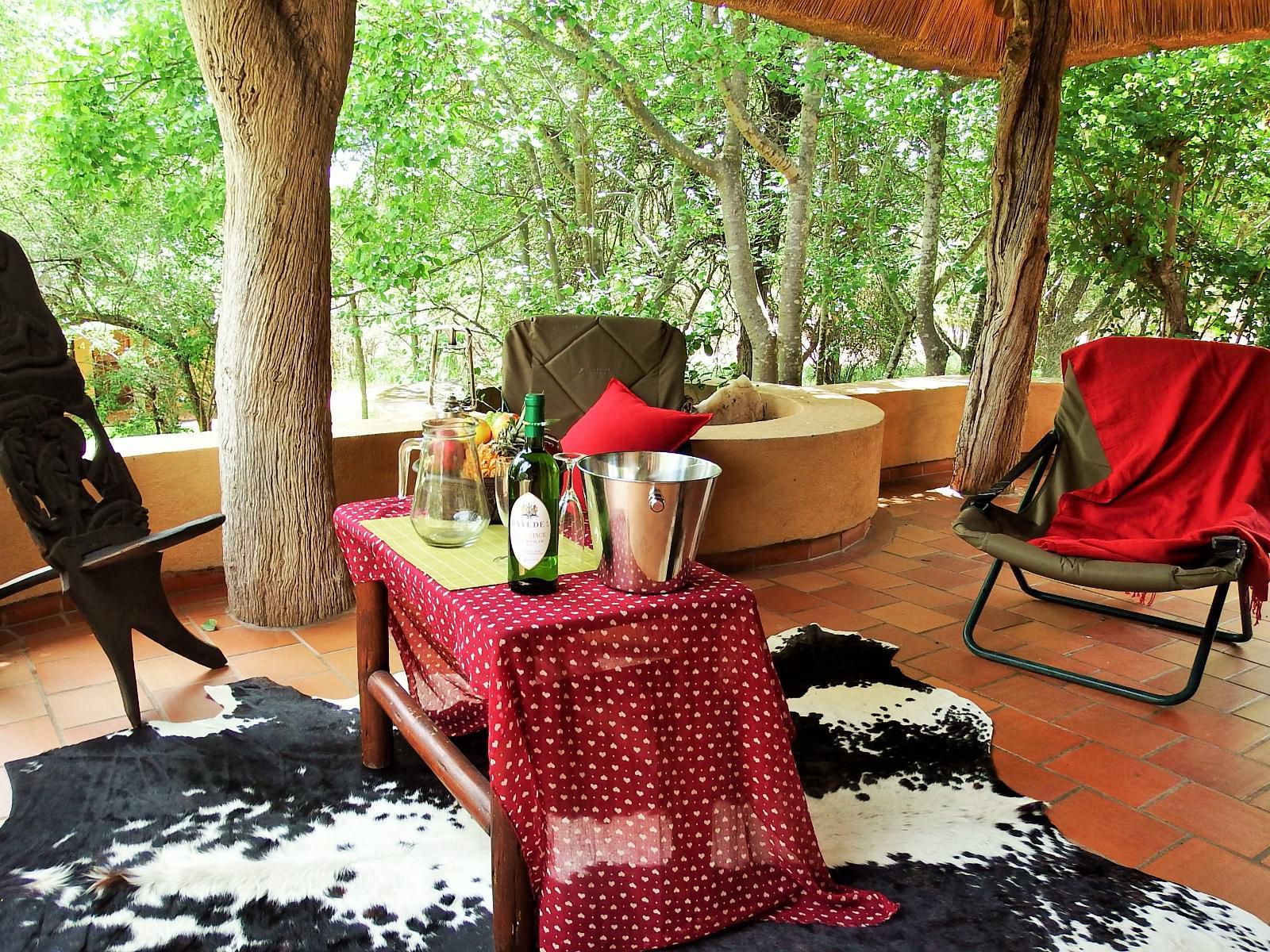 Ndzuti Safari Camp Klaserie Private Nature Reserve Mpumalanga South Africa 