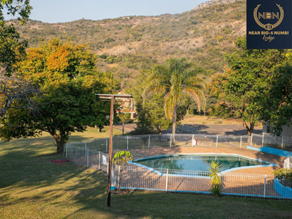 Nearbig5Numbi Lodge Numbi Park Hazyview Mpumalanga South Africa Palm Tree, Plant, Nature, Wood, Swimming Pool
