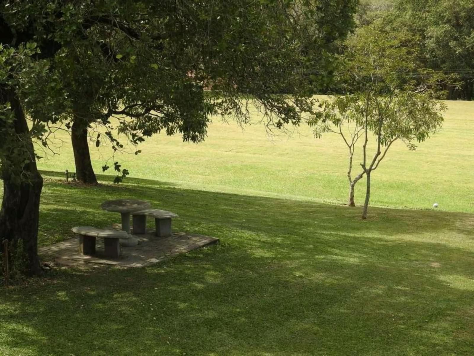 Nearbig5Numbi Lodge Numbi Park Hazyview Mpumalanga South Africa Grave, Architecture, Religion, Plant, Nature, Tree, Wood, Cemetery