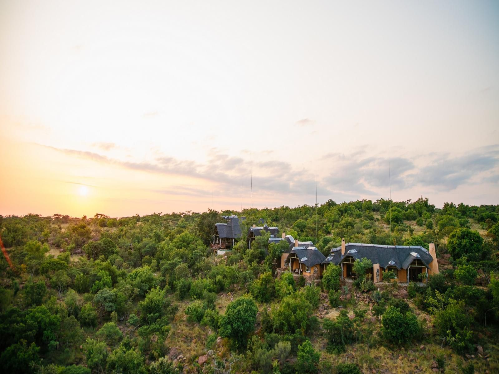 Nedile Lodge Welgevonden Game Reserve Limpopo Province South Africa 