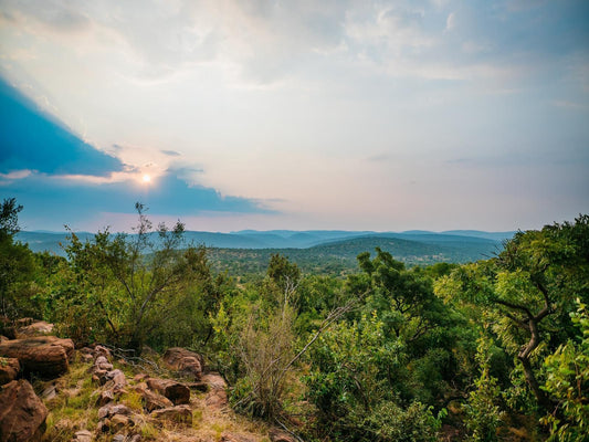 Nedile Lodge Welgevonden Game Reserve Limpopo Province South Africa Forest, Nature, Plant, Tree, Wood