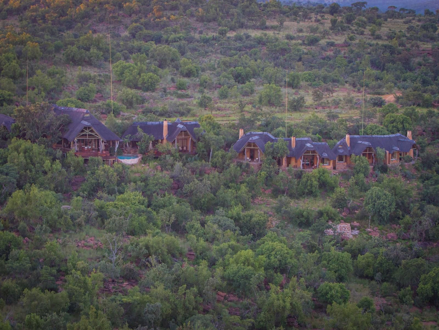 Nedile Lodge Welgevonden Game Reserve Limpopo Province South Africa Unsaturated