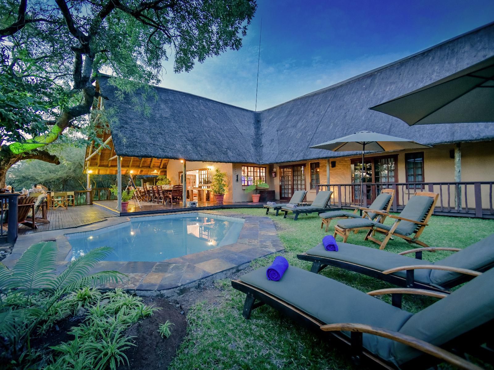 Needles Lodge Marloth Park Mpumalanga South Africa Swimming Pool