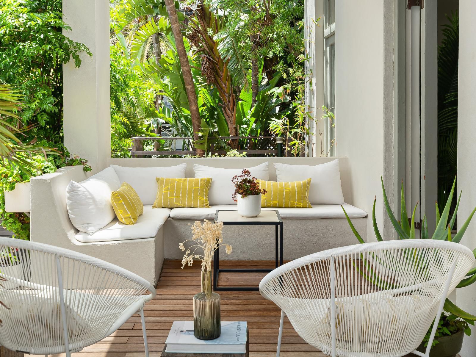 Neighbourgood Romney, Palm Tree, Plant, Nature, Wood, Garden, Living Room