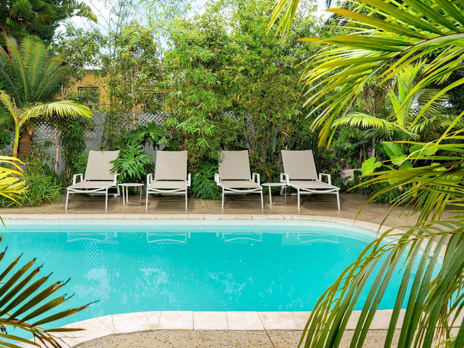 Neighbourgood Romney, Palm Tree, Plant, Nature, Wood, Garden, Swimming Pool