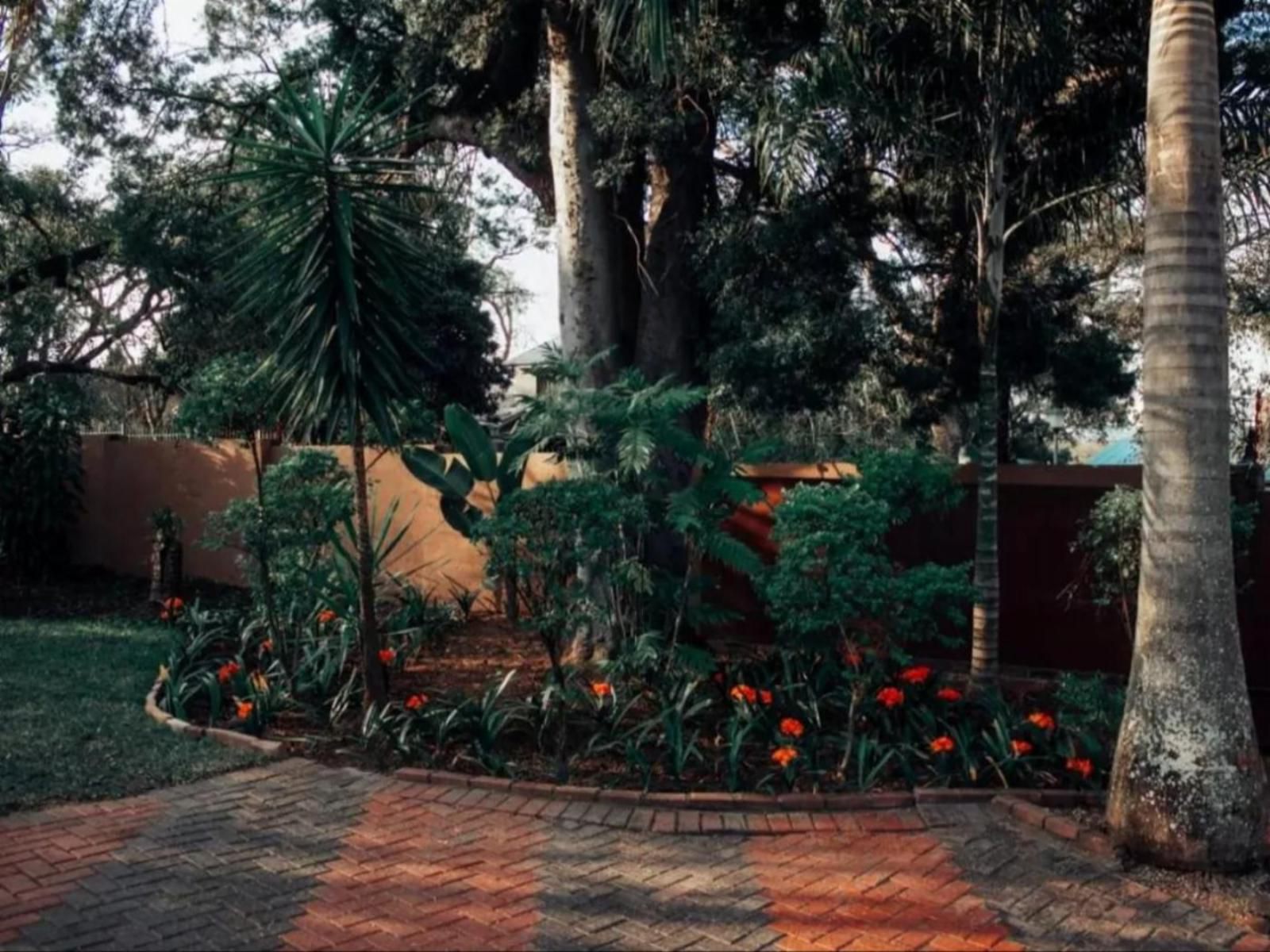 Nelspruit Guesthouse Nelspruit Mpumalanga South Africa Palm Tree, Plant, Nature, Wood, Tree, Garden