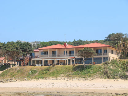 Neptunes Cove Kei Mouth Eastern Cape South Africa Complementary Colors, Beach, Nature, Sand, Palm Tree, Plant, Wood