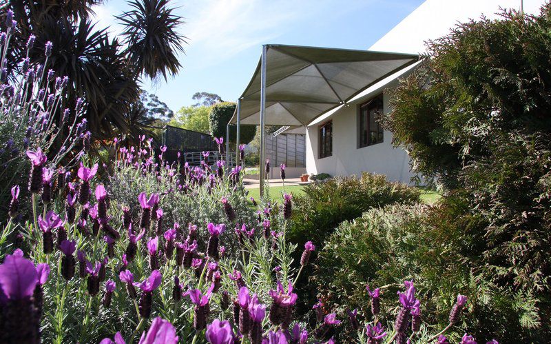 Nerina Selfcatering Caledon Western Cape South Africa House, Building, Architecture, Plant, Nature, Garden