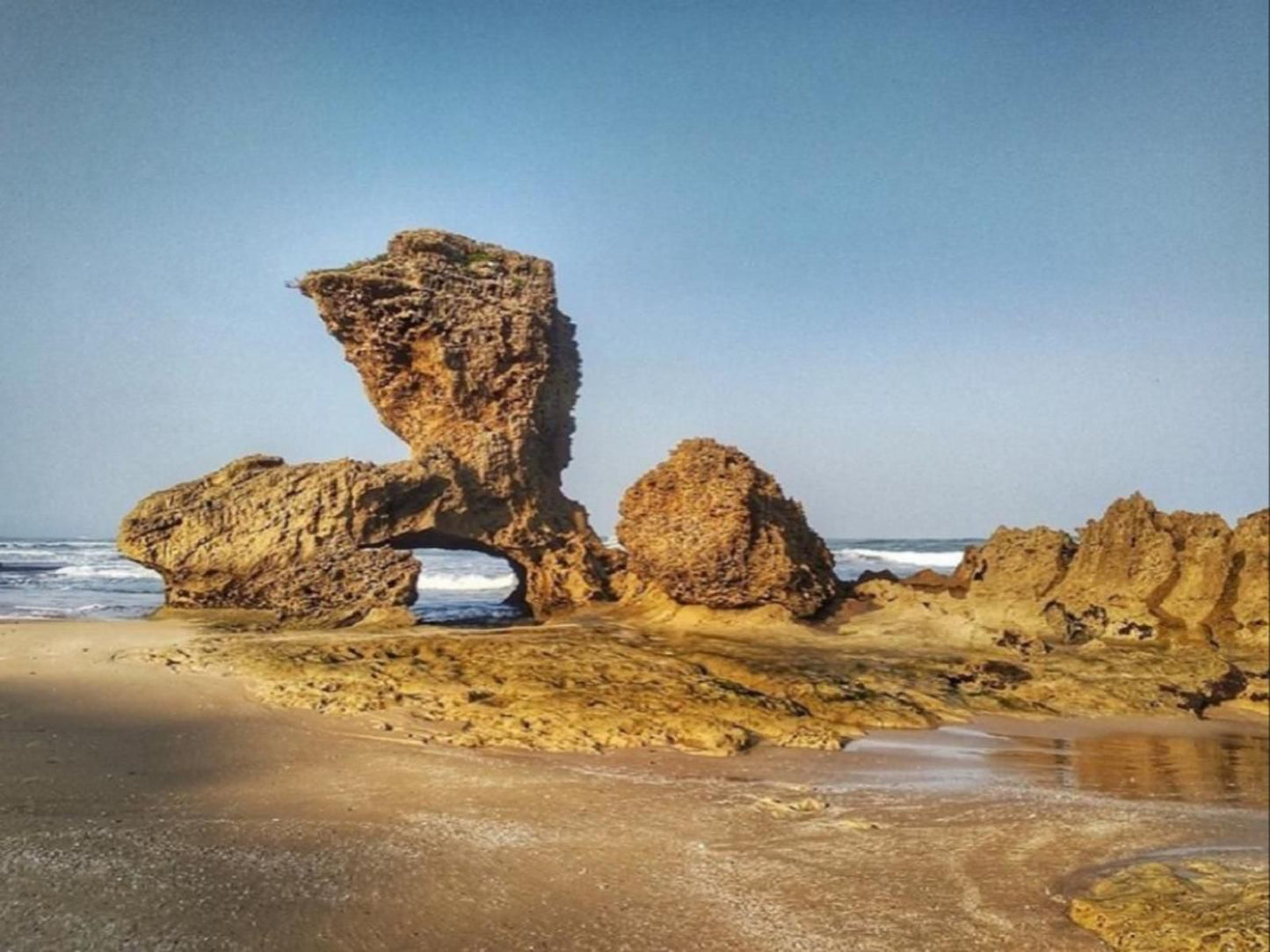 Nest Boknes Boknes Cannon Rocks Eastern Cape South Africa Complementary Colors, Beach, Nature, Sand