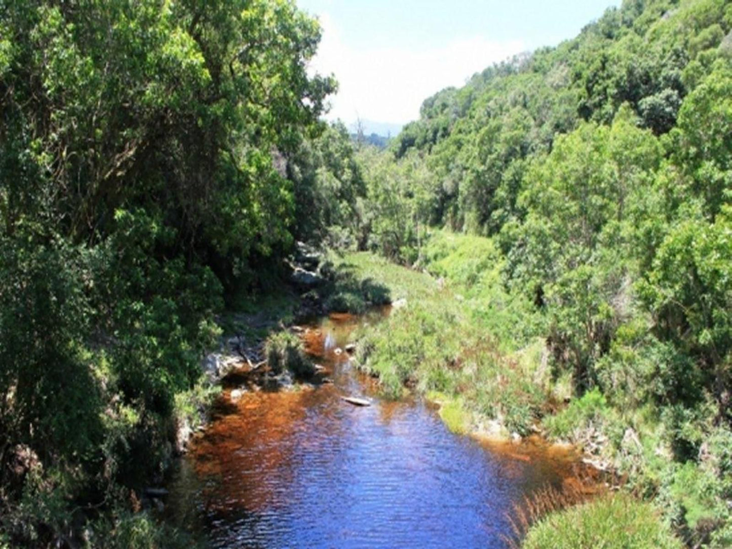 New Beginnings Cottage Drie Kuilen Private Nature Reserve Western Cape South Africa Forest, Nature, Plant, Tree, Wood, River, Waters