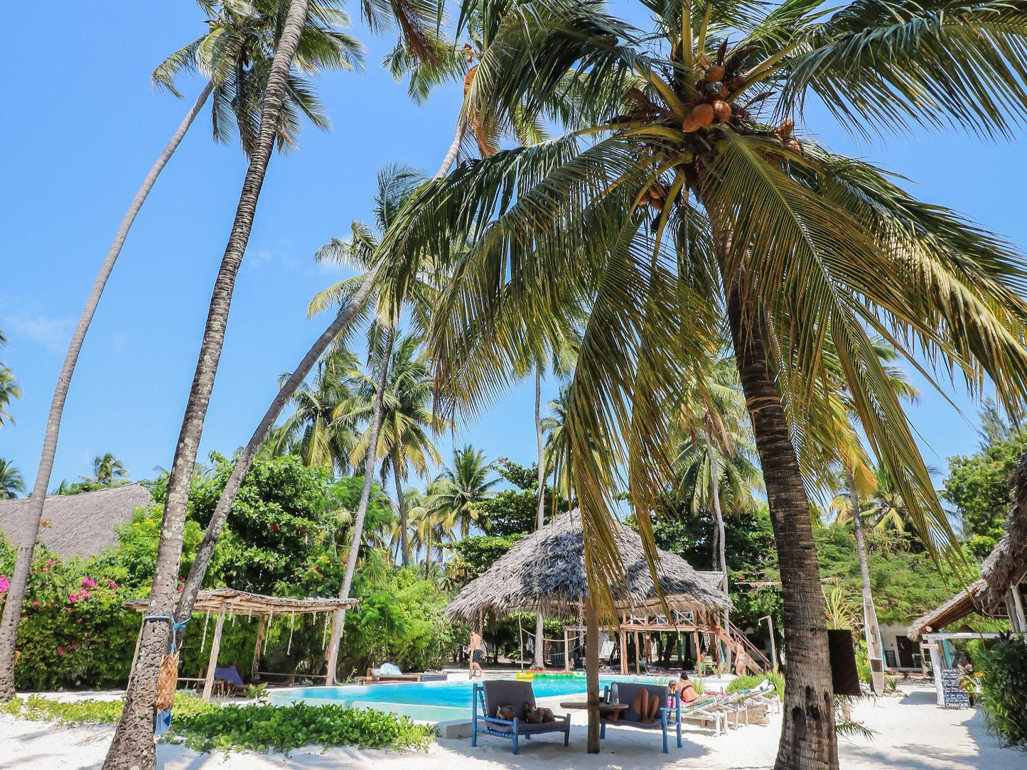 New Teddy'S On The Beach, Beach, Nature, Sand, Island, Palm Tree, Plant, Wood