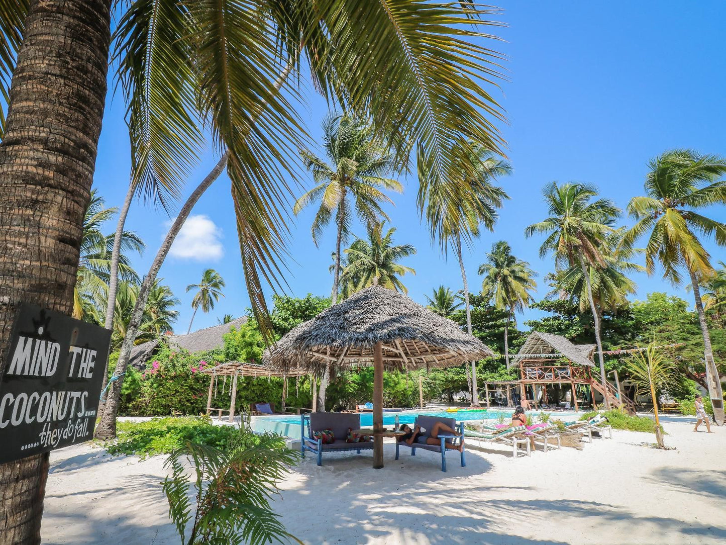 New Teddy'S On The Beach, Beach, Nature, Sand, Island, Palm Tree, Plant, Wood