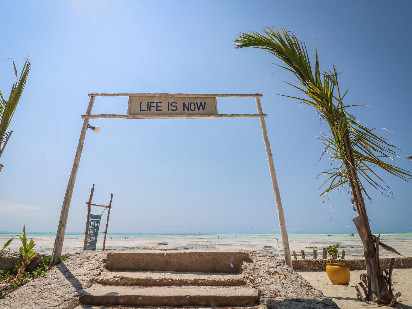 New Teddy'S On The Beach, Beach, Nature, Sand, Palm Tree, Plant, Wood