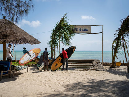 New Teddy'S On The Beach, Beach, Nature, Sand, Palm Tree, Plant, Wood, Surfboard, Water Sport, Ocean, Waters, Person