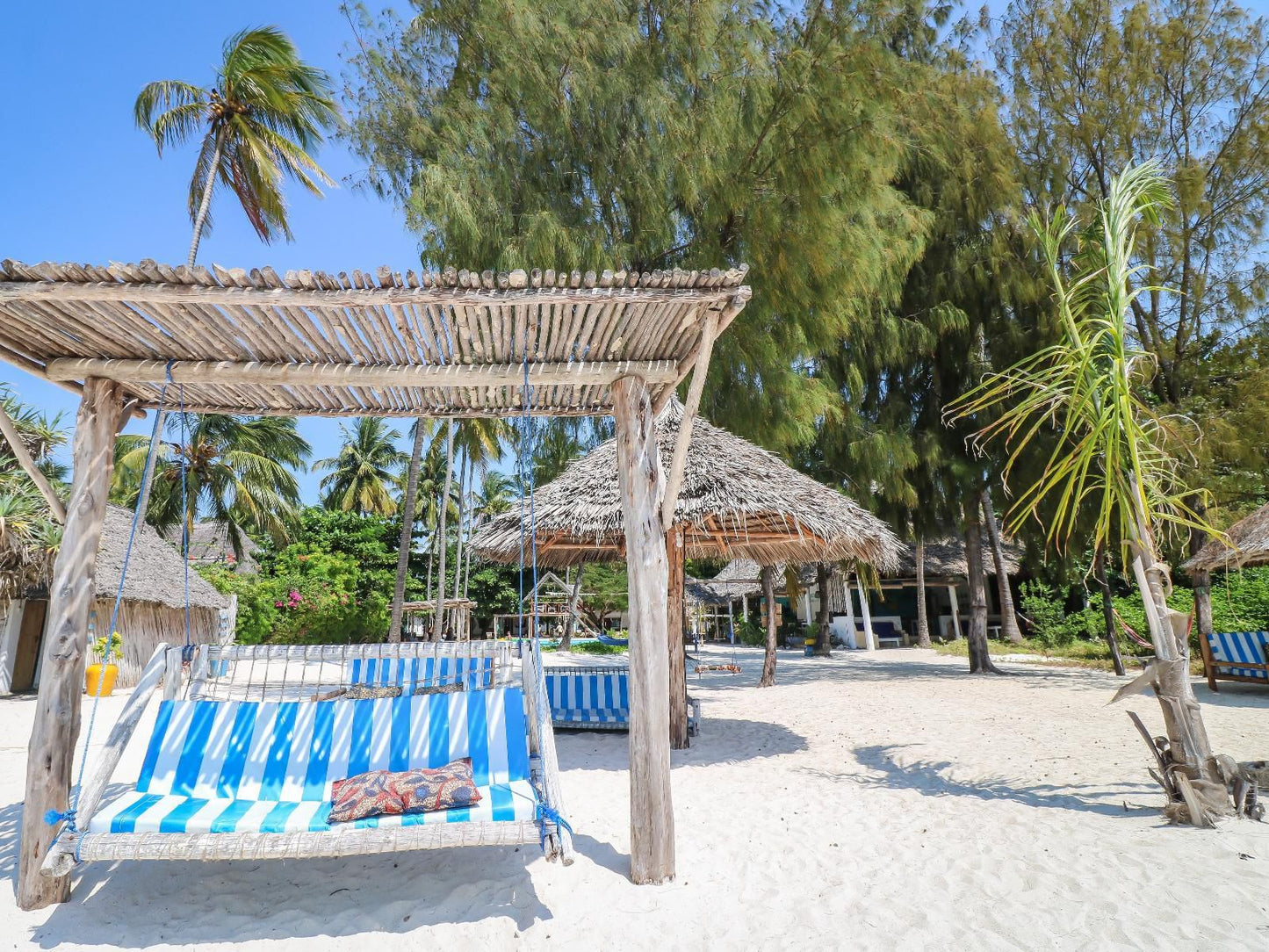 New Teddy'S On The Beach, Beach, Nature, Sand, Palm Tree, Plant, Wood