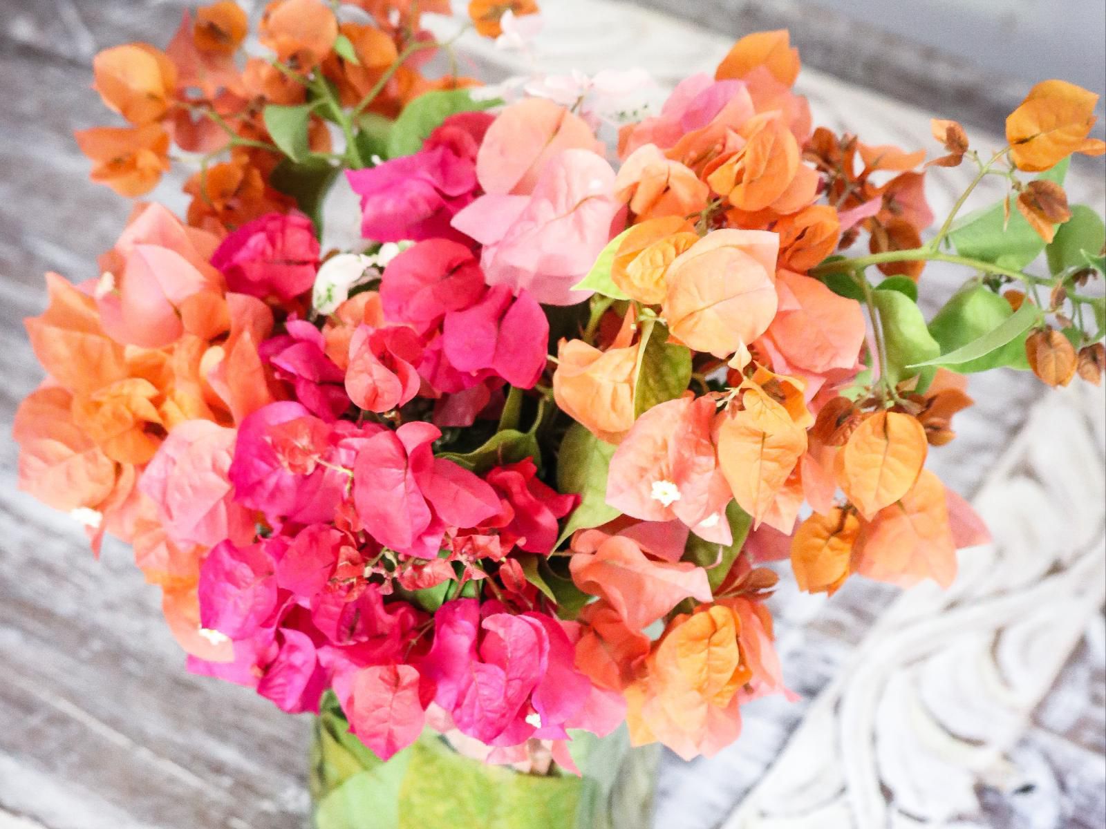 New Teddy'S On The Beach, Pamoja Dorm, Bouquet of Flowers, Flower, Plant, Nature