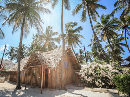 New Teddy'S On The Beach, Pamoja Dorm, Beach, Nature, Sand, Island, Palm Tree, Plant, Wood