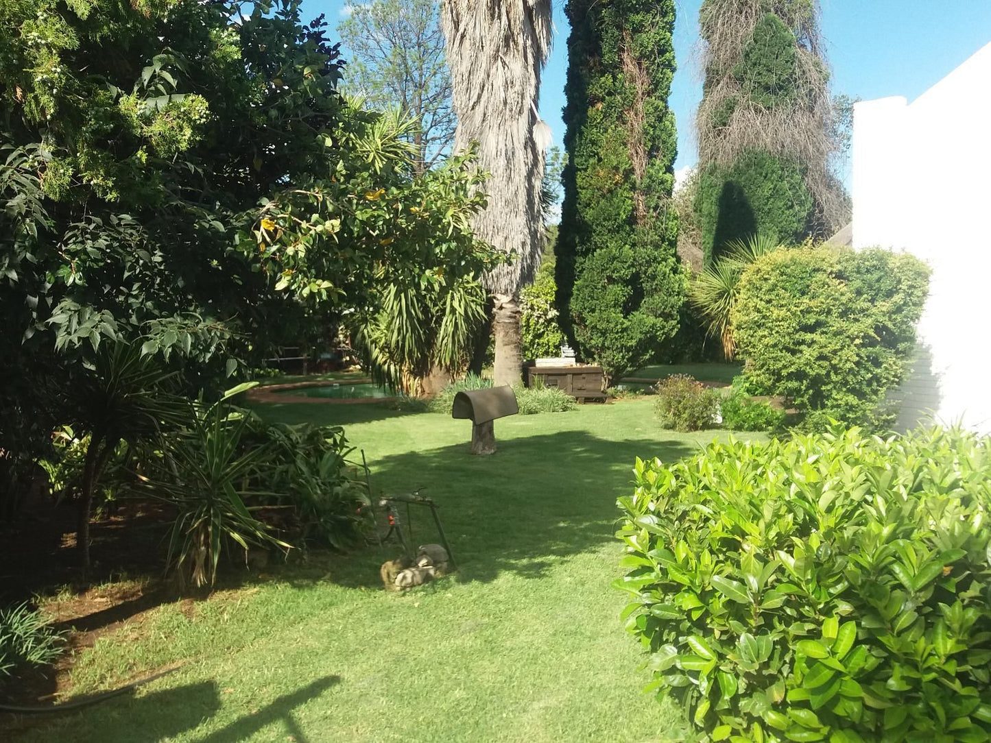 New Beginnings Bandb Deneysville Gauteng South Africa Palm Tree, Plant, Nature, Wood, Garden