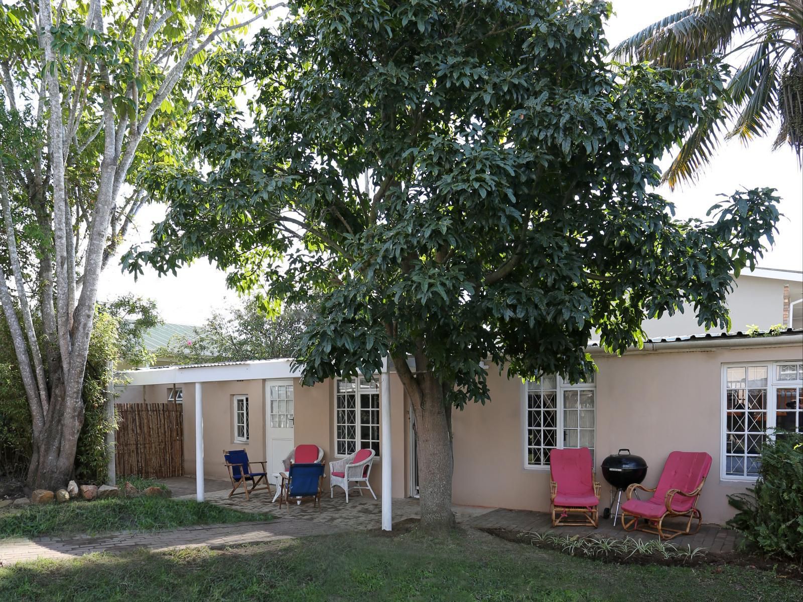 Newington Place Central Port Elizabeth Eastern Cape South Africa House, Building, Architecture, Palm Tree, Plant, Nature, Wood