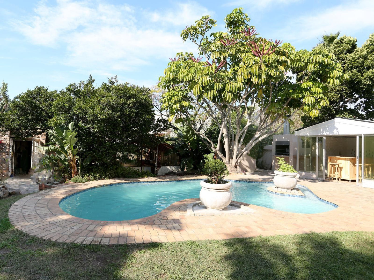 Newington Place Central Port Elizabeth Eastern Cape South Africa Complementary Colors, Palm Tree, Plant, Nature, Wood, Garden, Swimming Pool