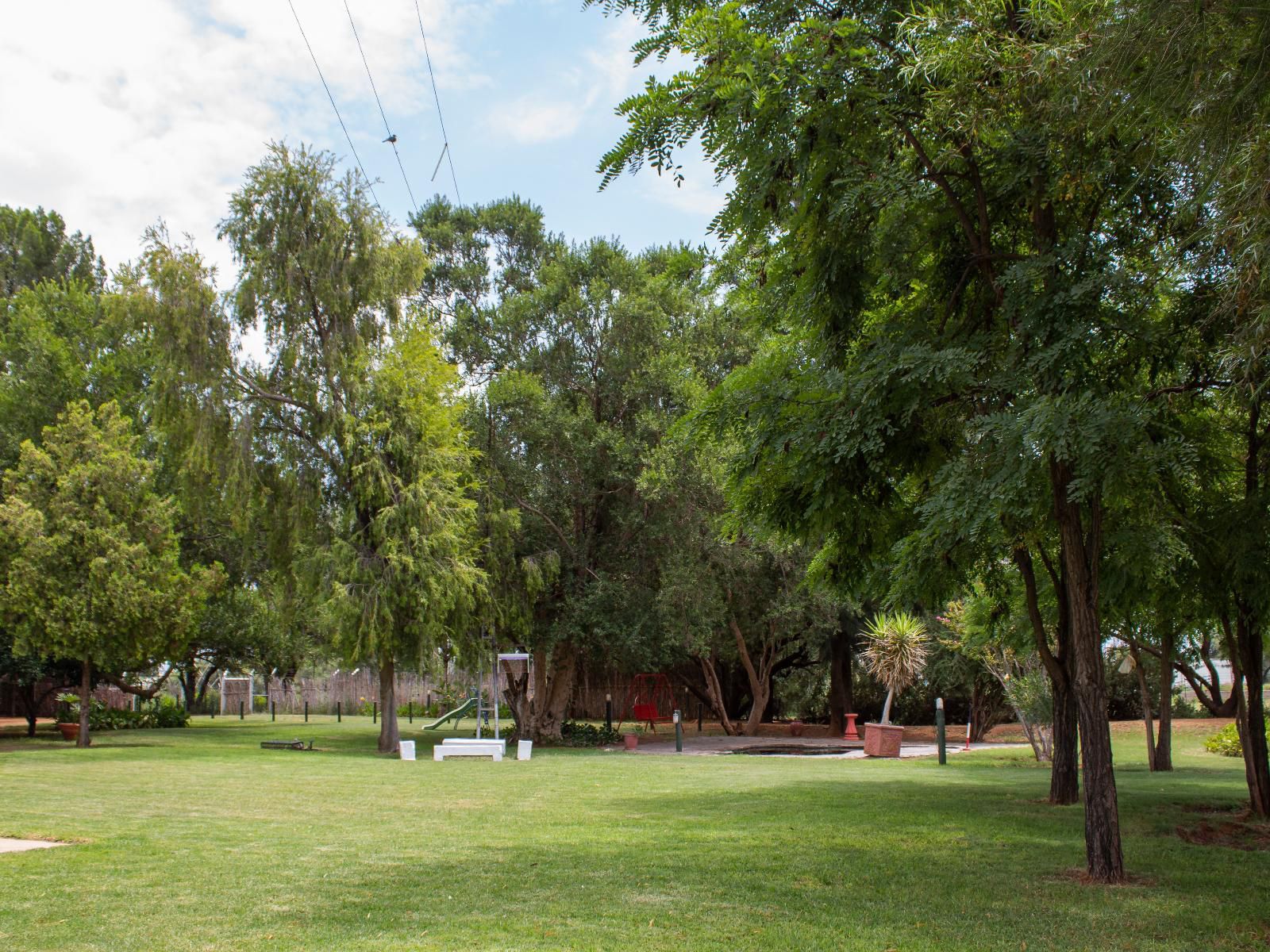 Newlands Country Lodge Galeshewe Kimberley Northern Cape South Africa Plant, Nature