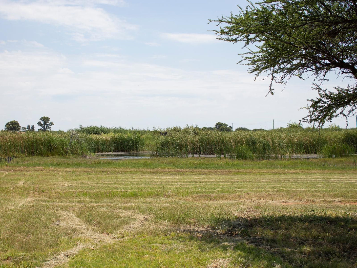 Newlands Country Lodge Galeshewe Kimberley Northern Cape South Africa Field, Nature, Agriculture, Lowland