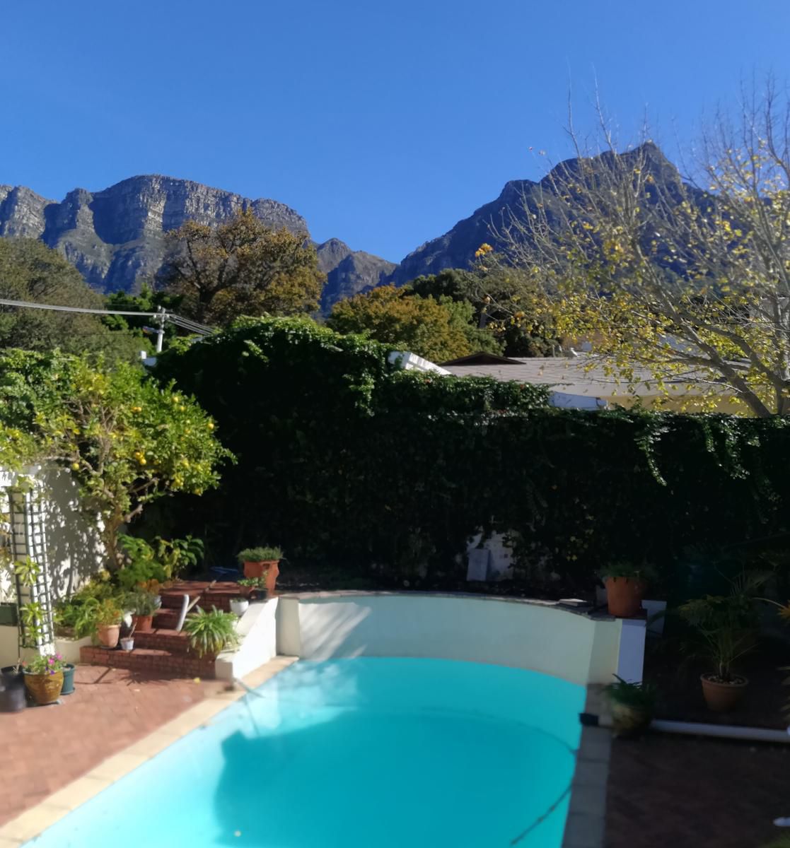 Newlands Guest House Newlands Cape Town Western Cape South Africa 