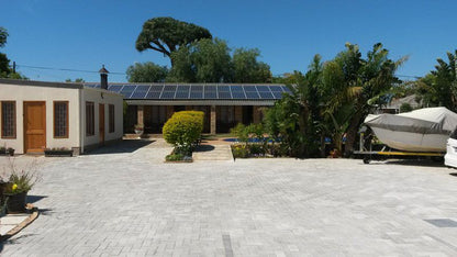 Newton Sands Guest House And Salon Newton Park Port Elizabeth Eastern Cape South Africa Palm Tree, Plant, Nature, Wood