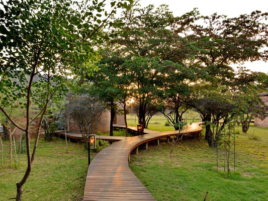 Ngala Lodge Dinokeng Game Reserve Gauteng South Africa Plant, Nature, Tree, Wood