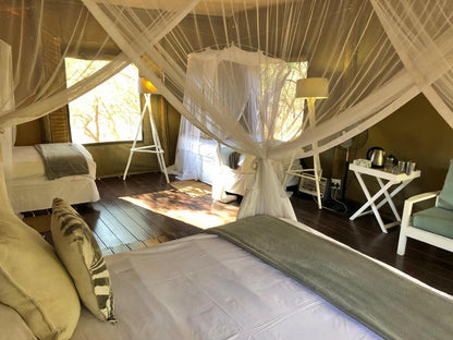 Ngama Tented Safari Lodge Guernsey Nature Reserve Amanda Limpopo Province South Africa Tent, Architecture, Bedroom