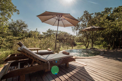 Ngama Tented Safari Lodge Guernsey Nature Reserve Amanda Limpopo Province South Africa Swimming Pool