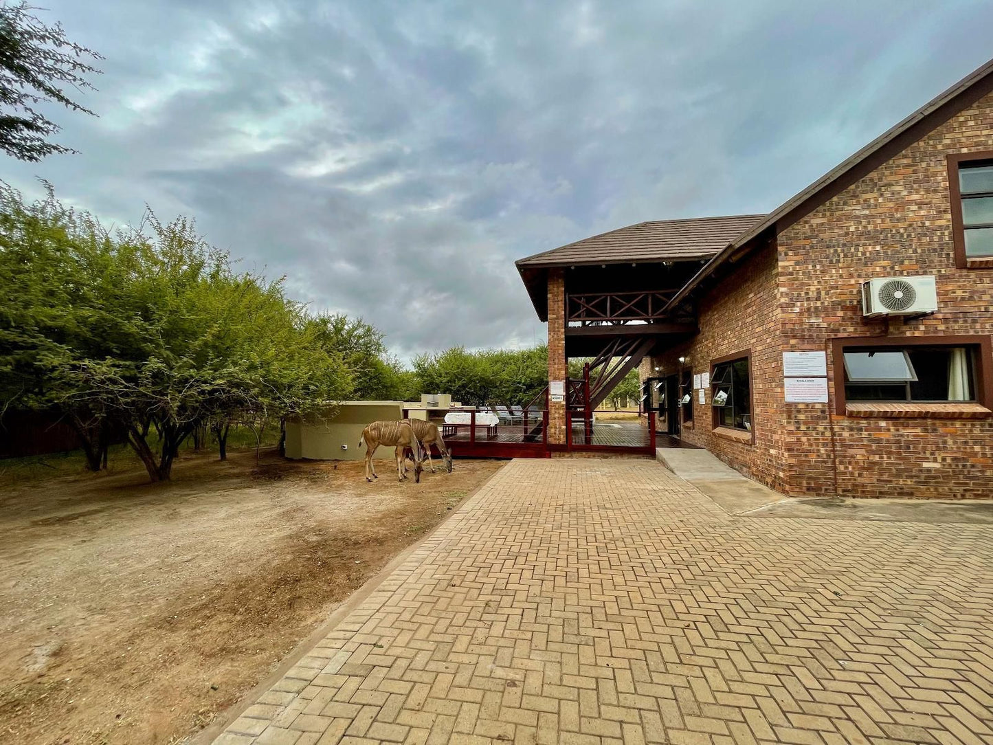 Nghala Self Catering Holiday Home Marloth Park Mpumalanga South Africa Complementary Colors